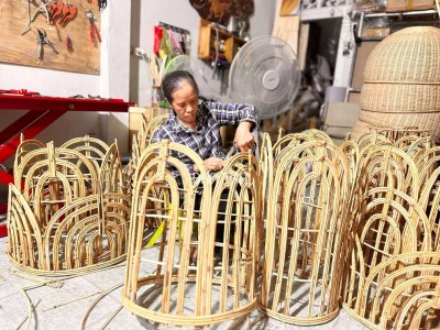 Boho rattan light