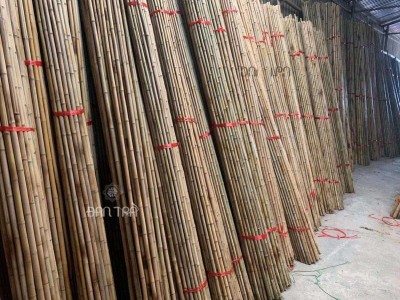 Bamboo Poles