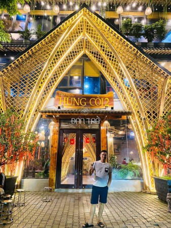 Bamboo Poles