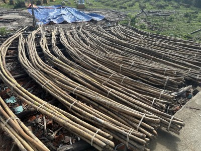 Rattan material