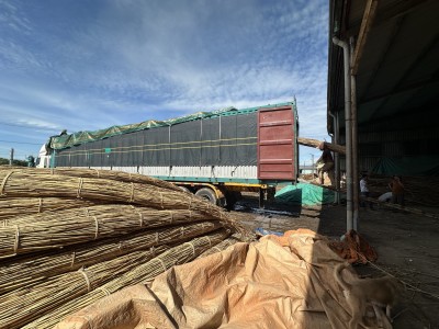 Rattan material