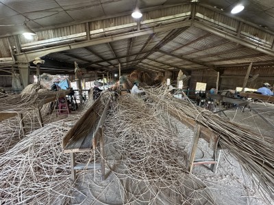 Rattan material
